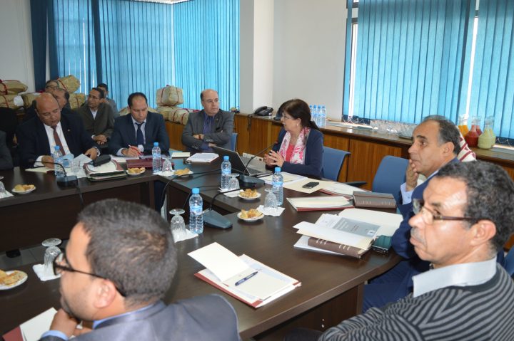 l’INE organise un atelier de lancement de la passation des tests et questionnaires PNEA l'INE organise un atelier de lancement de la passation des tests et questionnaires PNEA