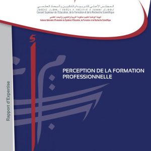 Perception de la formation professionnelle