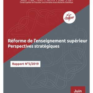 Rapport sur le thème « Réforme de l’enseignement supérieur : perspectives stratégiques »