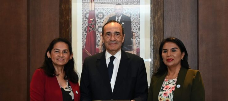 WhatsApp Image 2023-07-11 at 12.00.05