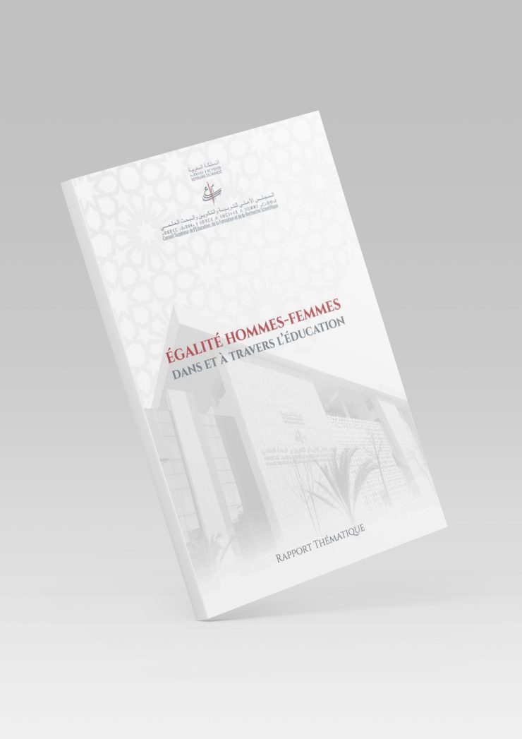 rapport égalité fr